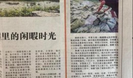 沧州师范爆料事件最新,真相与争议交织的教育漩涡